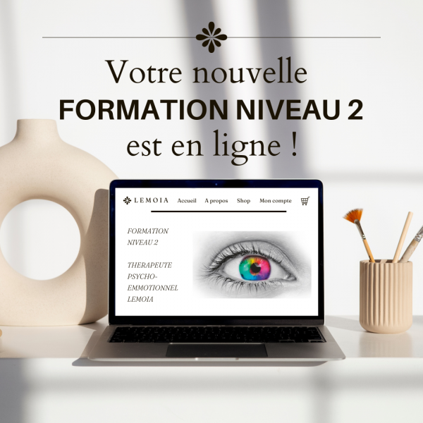 Formation niveau 2 Thérapeute Psycho-Emotionnel LEMOIA