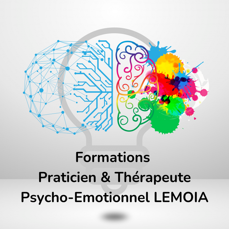 Formations Praticien & Thérapeute Psycho-Emotionnel LEMOIA (4) Formations Praticien & Thérapeute Psycho-Emotionnel LEMOIA (4)